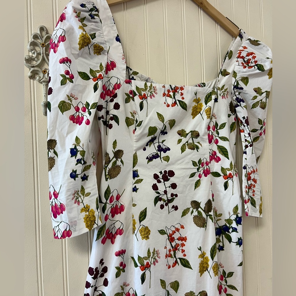 NWOT Cara Cara Busy Ruffle-Bottom Midi Dress Size 4 Botanical Ivory - Picture 9 of 9